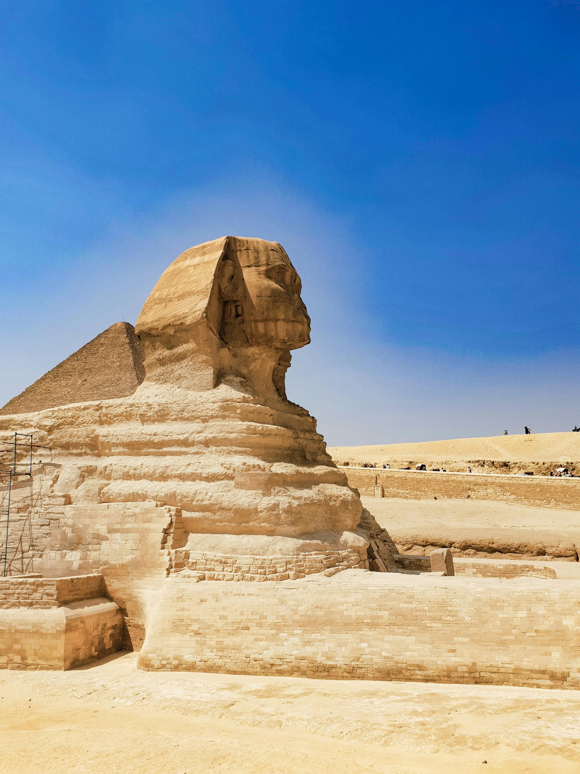 La Esfinge de Giza vista de perfil en la meseta
