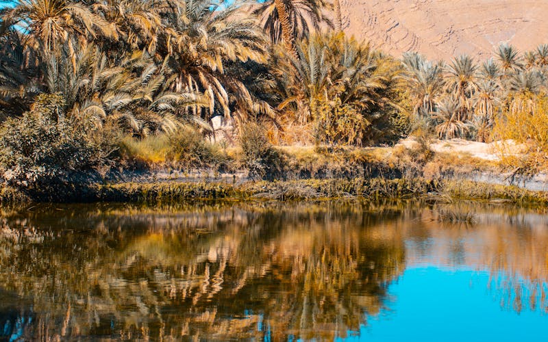 Oasis de Siwa durante el Mawlid de agosto de 2026, comunidad musulmana y tradiciones sufies
