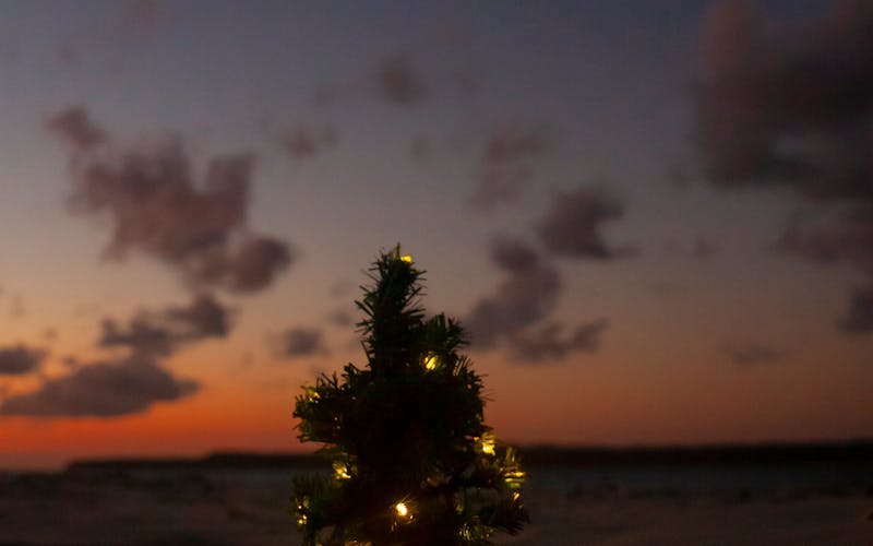 Crucero de Navidad por el Nilo con decoración festiva y vista a los templos diciembre 2026